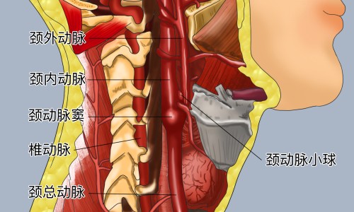 吴太四维他胶囊的功效和作用-吴太四维他胶囊 儿童网 - 网站提供四维他胶囊小孩能吃吗小常识、四维他胶囊小孩能吃吗